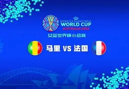 水晶宫-法国全面压制对手,取得历史性胜利的原因